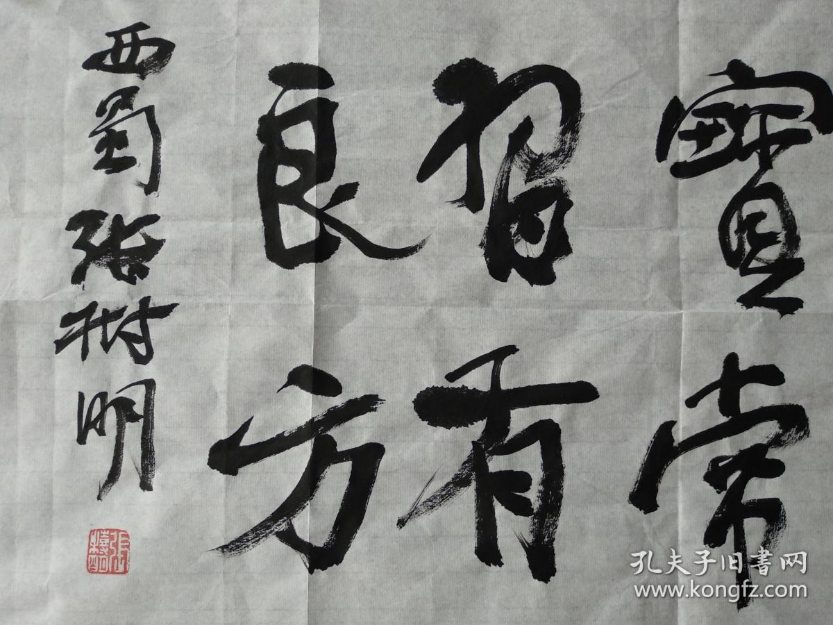 中国书法家协会会员张树明书法