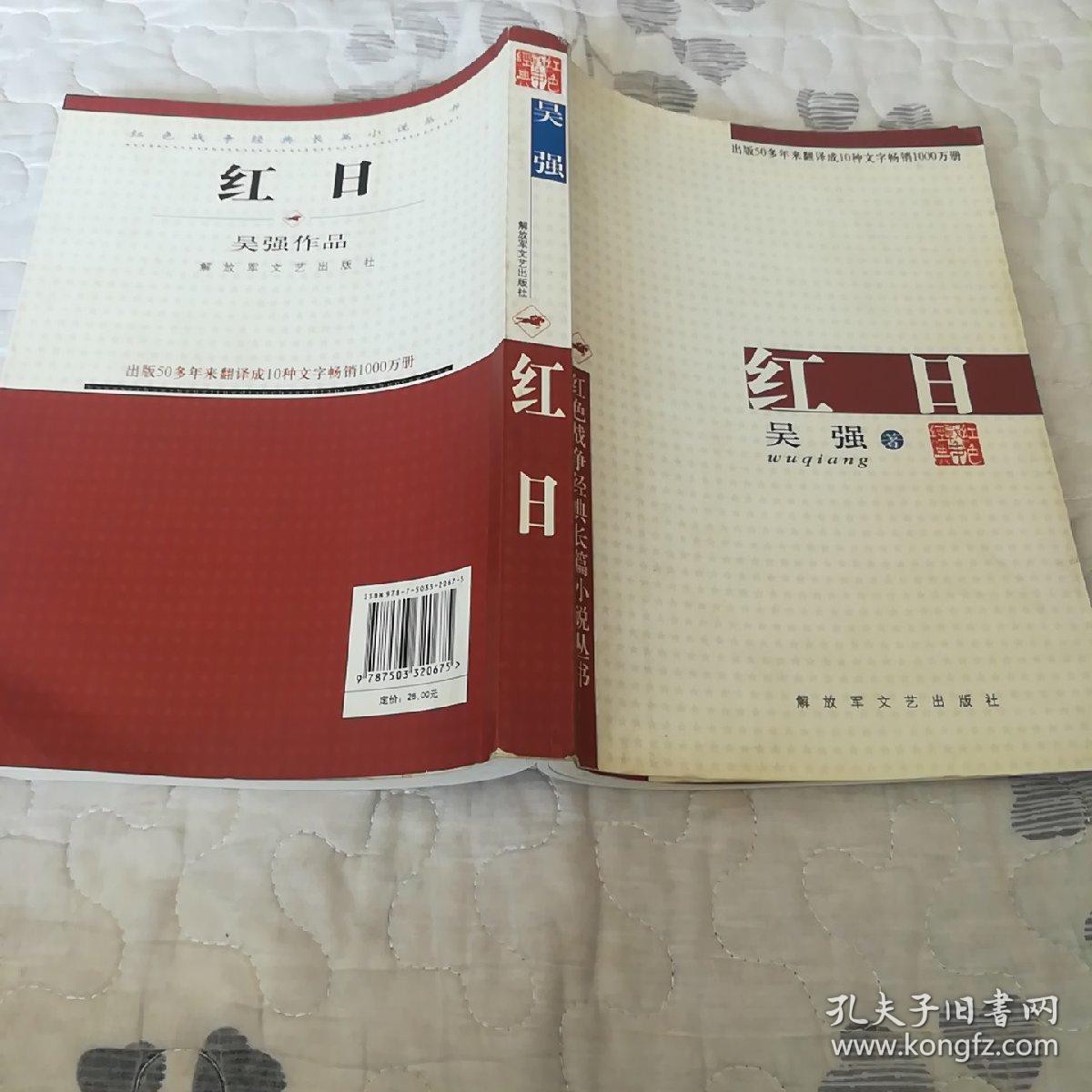红色经典小说【红日】