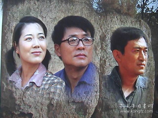 张丰毅,曲国强,张莉莉,赵倩《上门女婿》 官方8页16面
