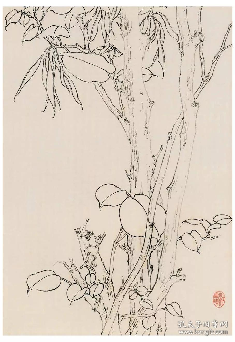 中国花鸟画白描精品集花卉蔬果卷