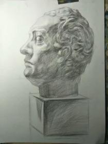 四开素描石膏像 加答梅拉塔 塔头