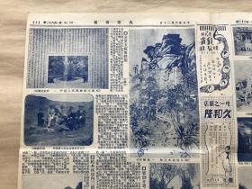 大亚人口_人口普查图片(3)