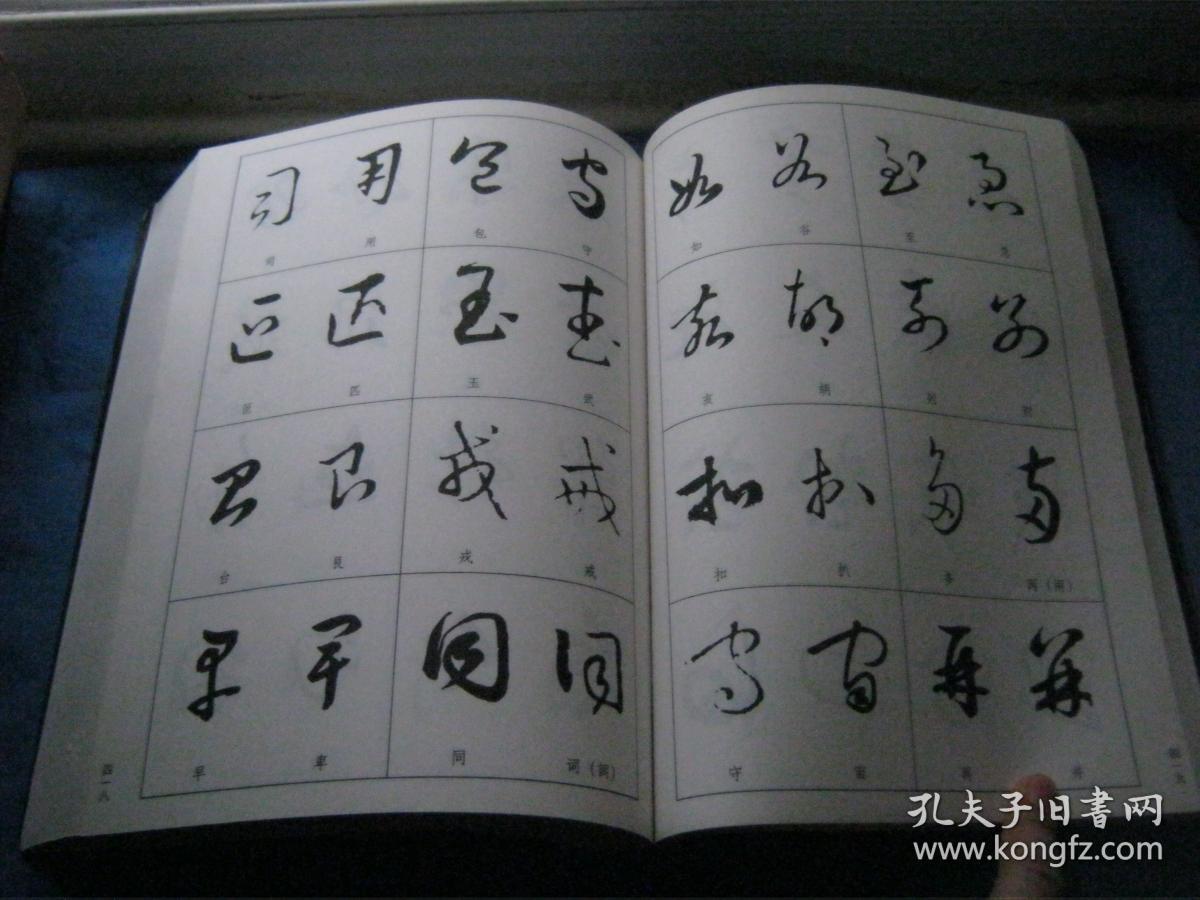 中国书法草书技法(此书大而厚,只发快递)