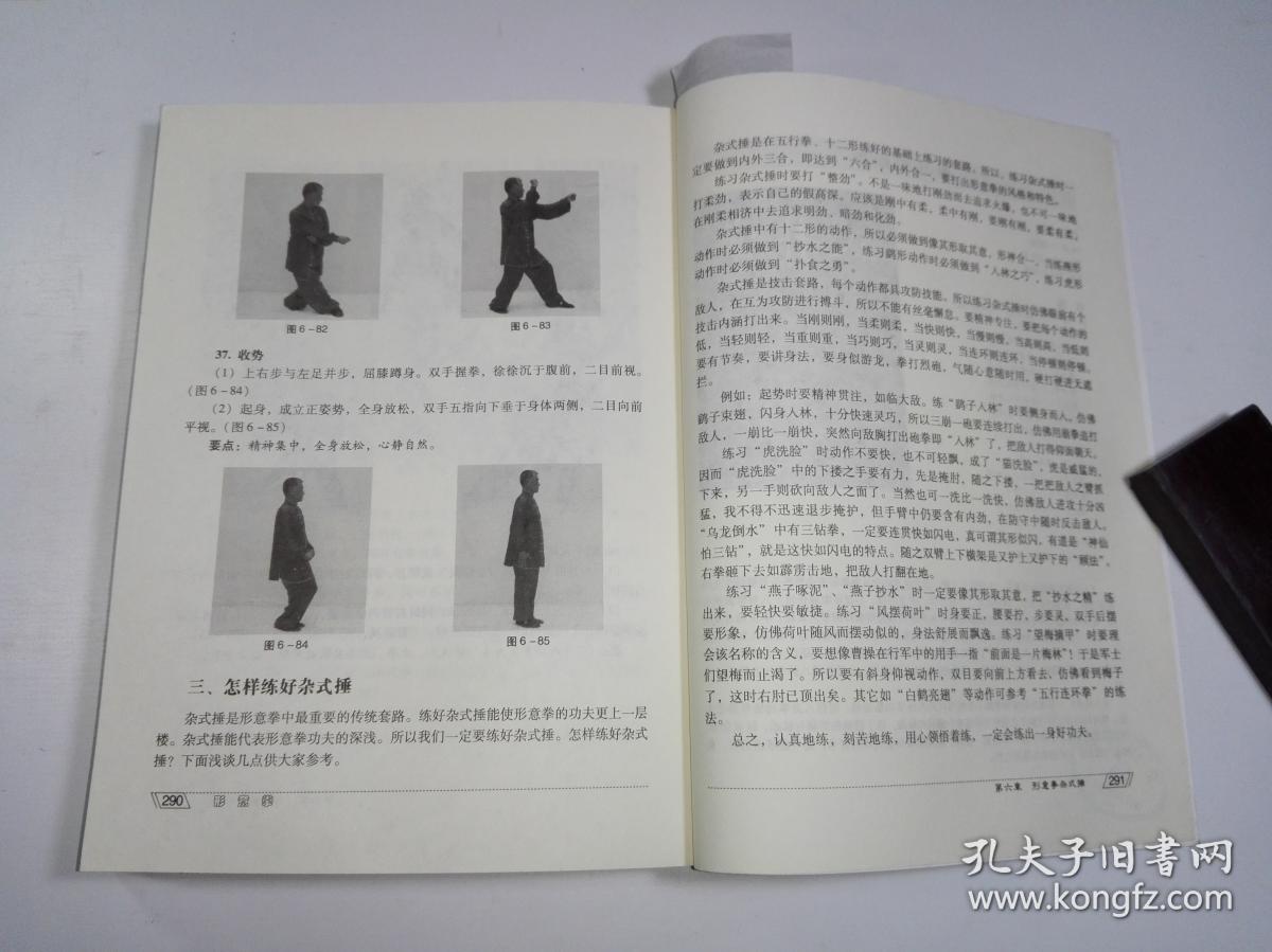 形意拳 十二形精典套路
