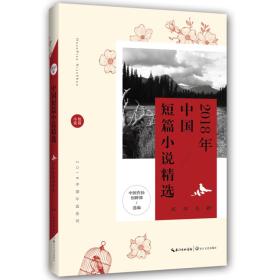 2018年中国短篇小说精选