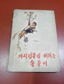 松伢子历险记（朝鲜文）가시덤불길 헤쳐온 송돌이