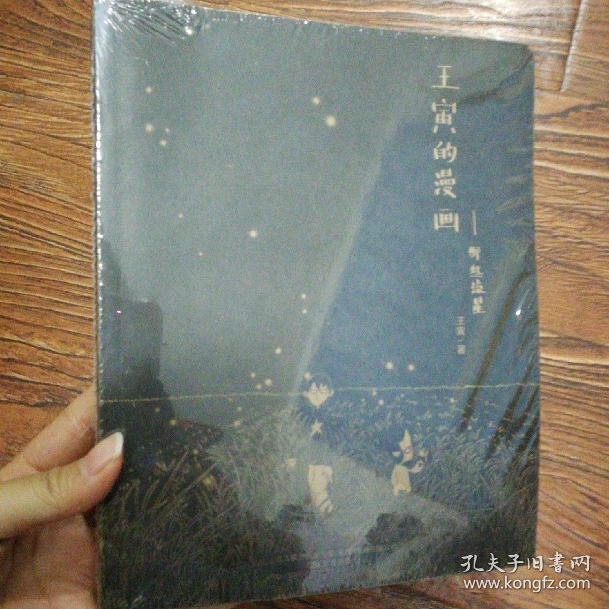 王寅的漫画:那些流星