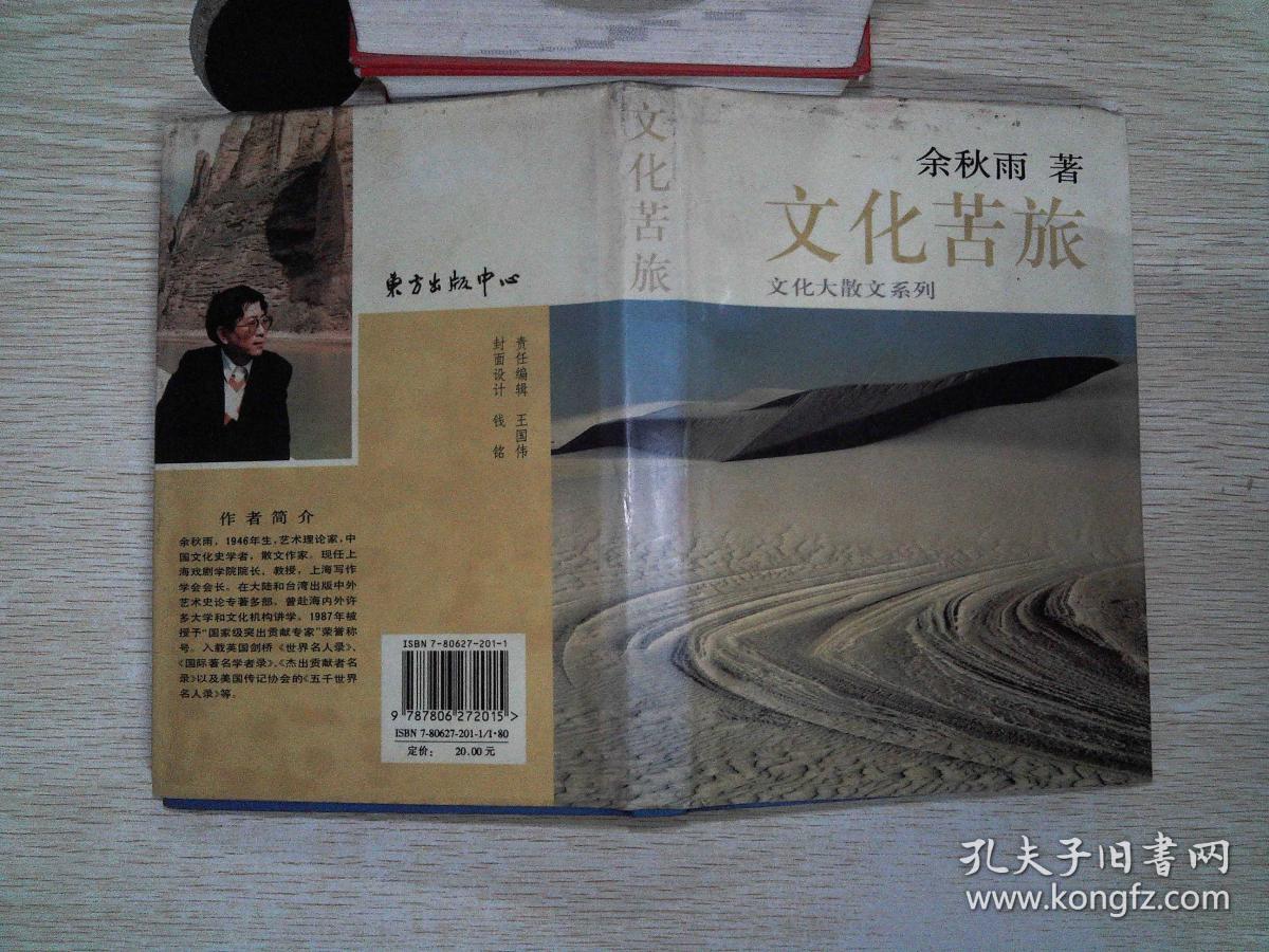 文化苦旅 精装