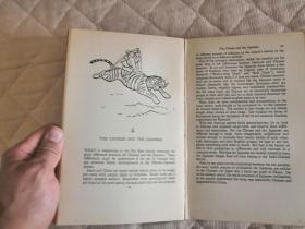 irony简谱_小星星简谱(3)