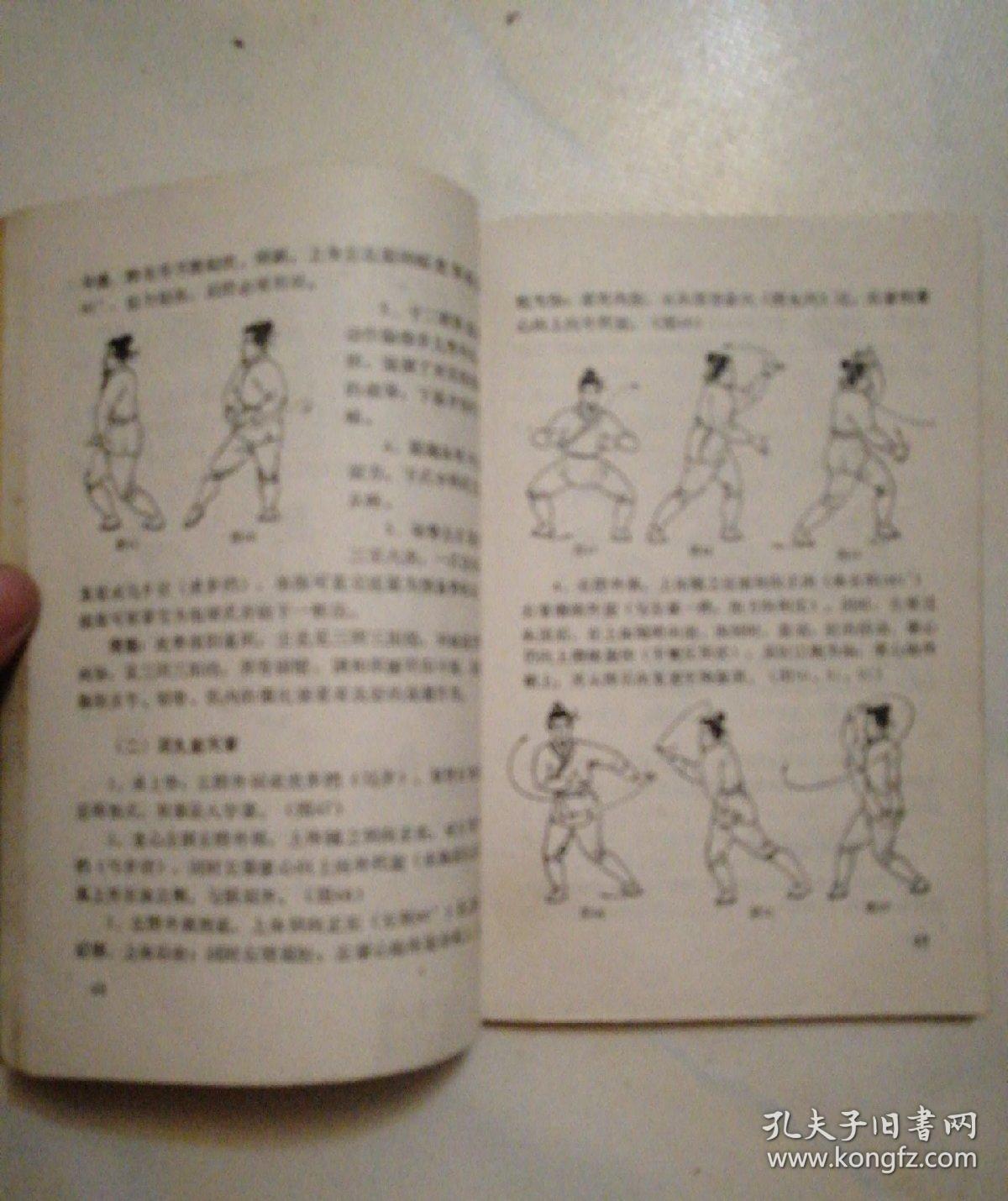 武当内家特技太乙五行拳实战精解