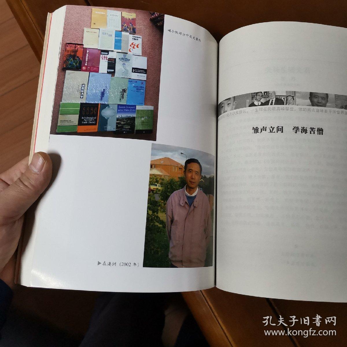 站在经济学的高坡上:杨小凯纪念文集