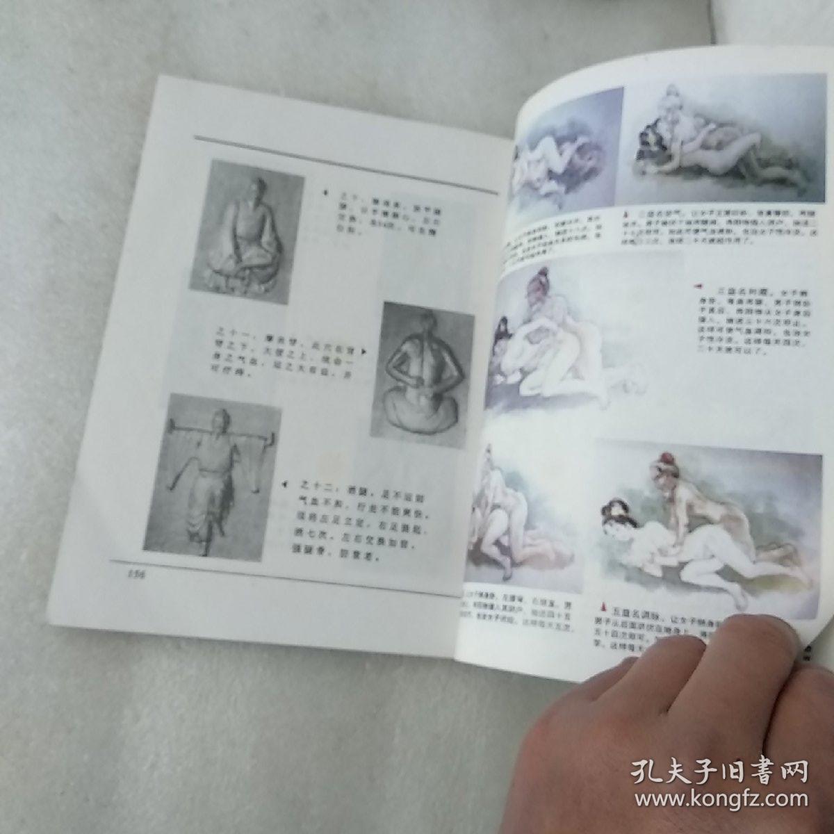 仙山彭祖长寿术(品如图)