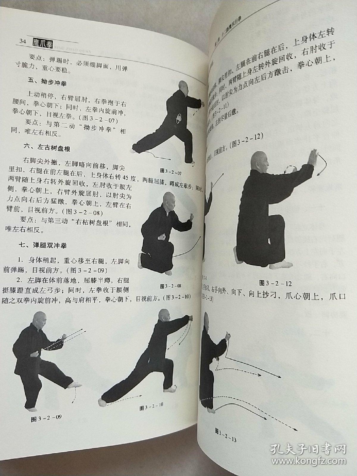 鹰爪拳(中国功夫经典) 插图版 一版一印