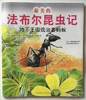 最美的法布尔昆虫记:地下王国统治者蚂蚁(优美