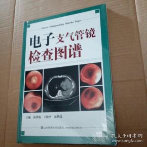 电子支气管镜检查图谱 (全新书塑封未拆)