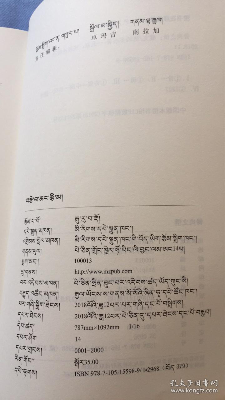 骨肉之情班玛多杰著民族出版社藏文