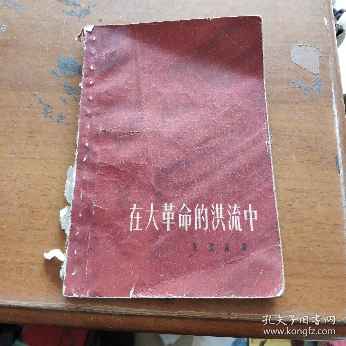 在大革命的洪流中