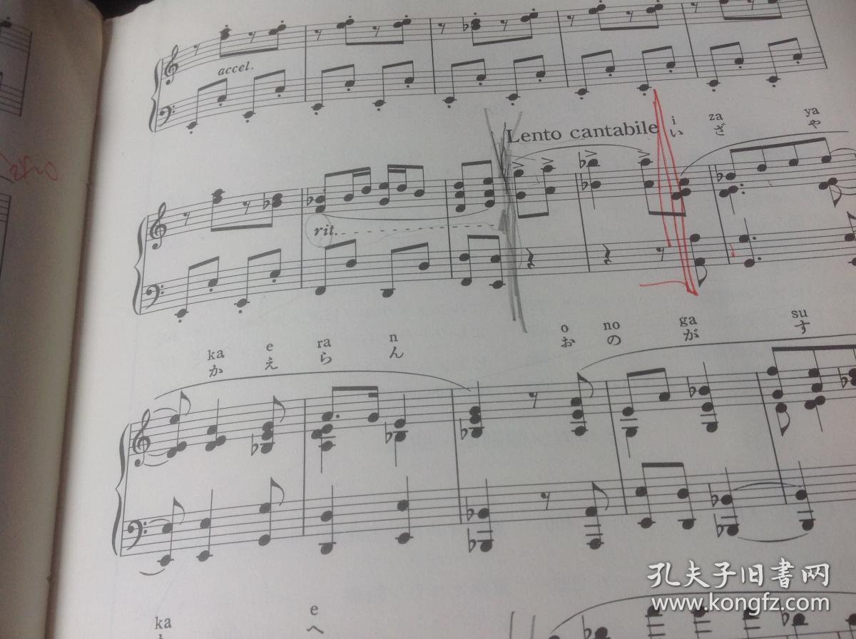 巴扬手风琴经典名曲曲谱_巴扬手风琴图片