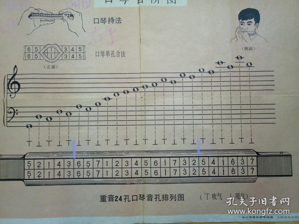 八十年代教学挂图,【口琴音阶图】,品相好._不详_孔