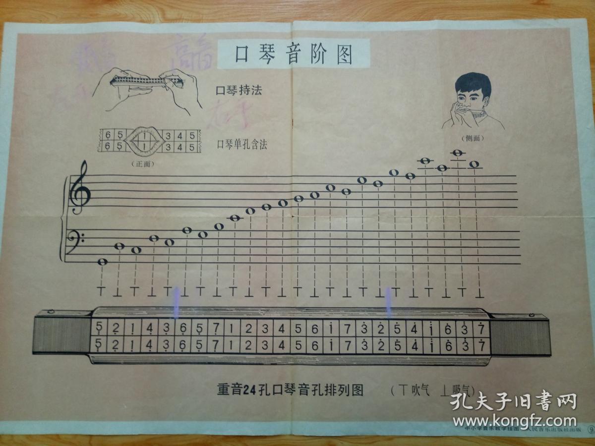 八十年代教学挂图,【口琴音阶图】,品相好.