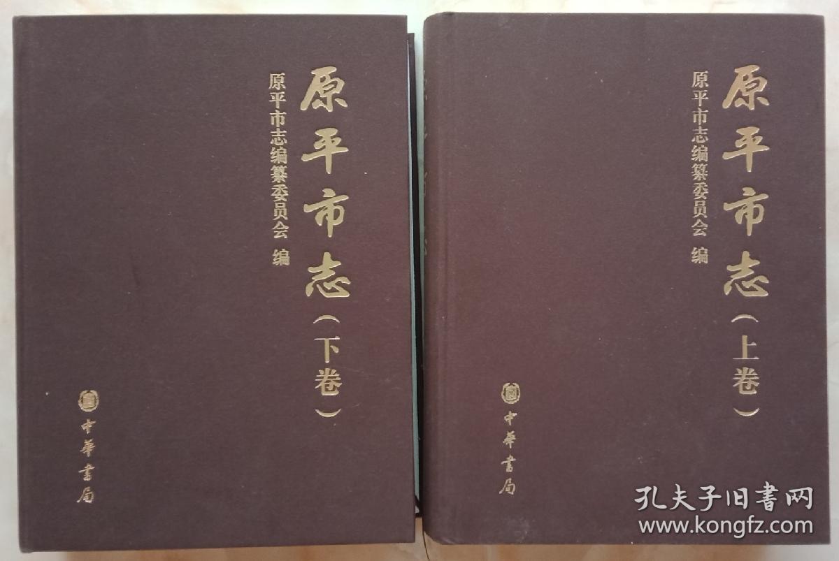 山西省地方志系列丛书忻州市系列布精特装原平市志全2册虒人荣誉珍藏