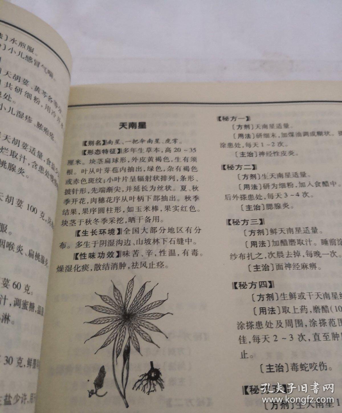 中国百草全书(图文珍藏版)