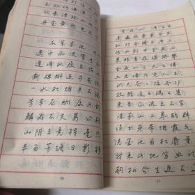 书圣故地近代金庭诗选——系列钢笔字帖(行书)_王正良