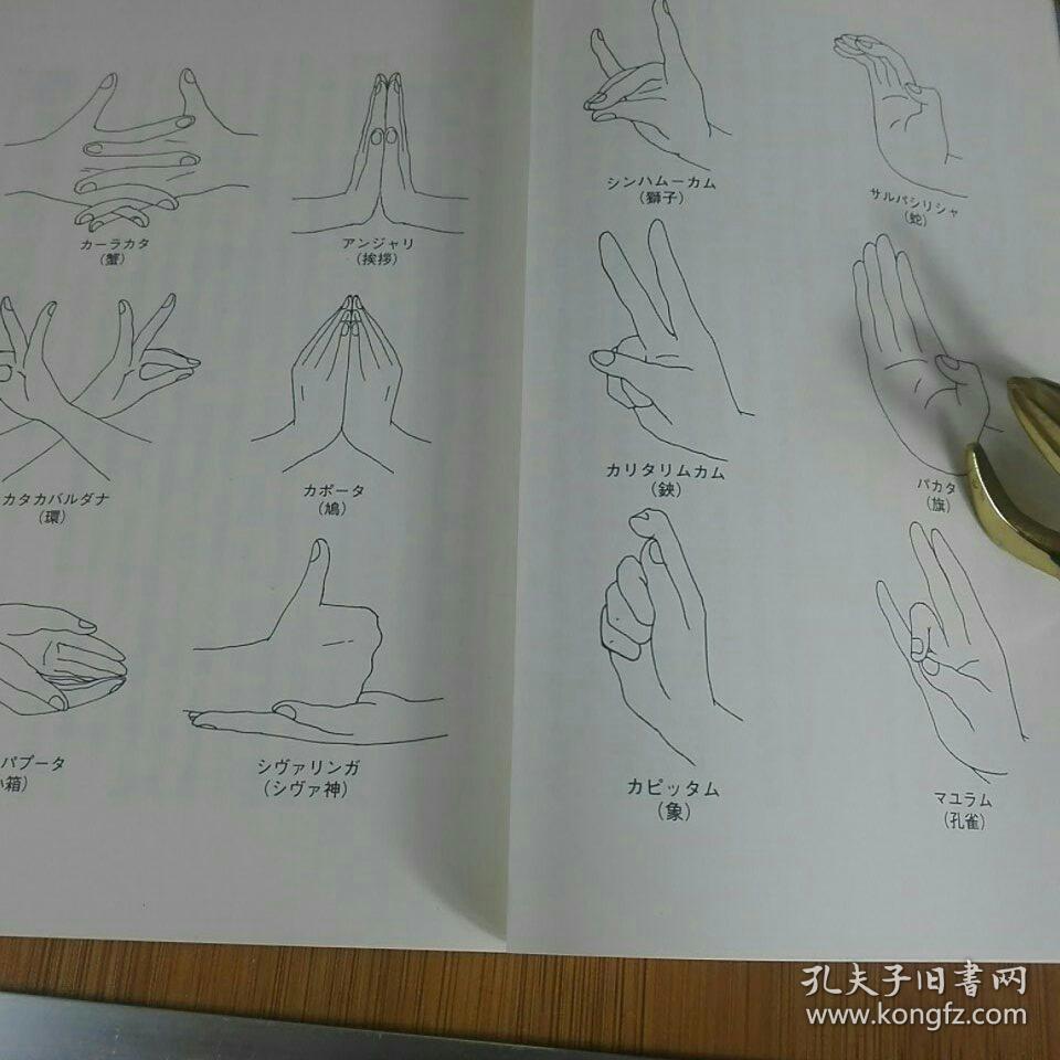 密教手印总集 金刚界胎藏界所有本尊的手印解说及修持