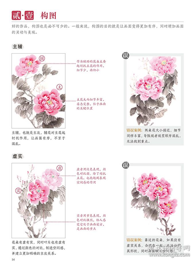 正统国画技法入门一笔一画学牡丹 国画临摹画入门基础