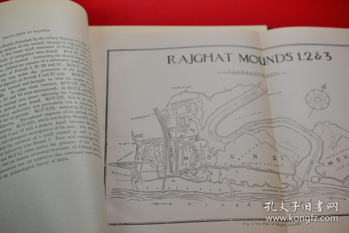 美国专家在印度考古报告 外文原版1976印刷(美