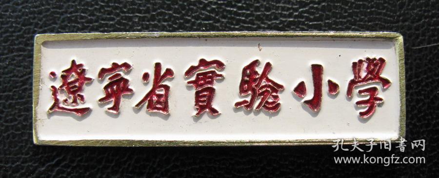 辽宁省实验小学