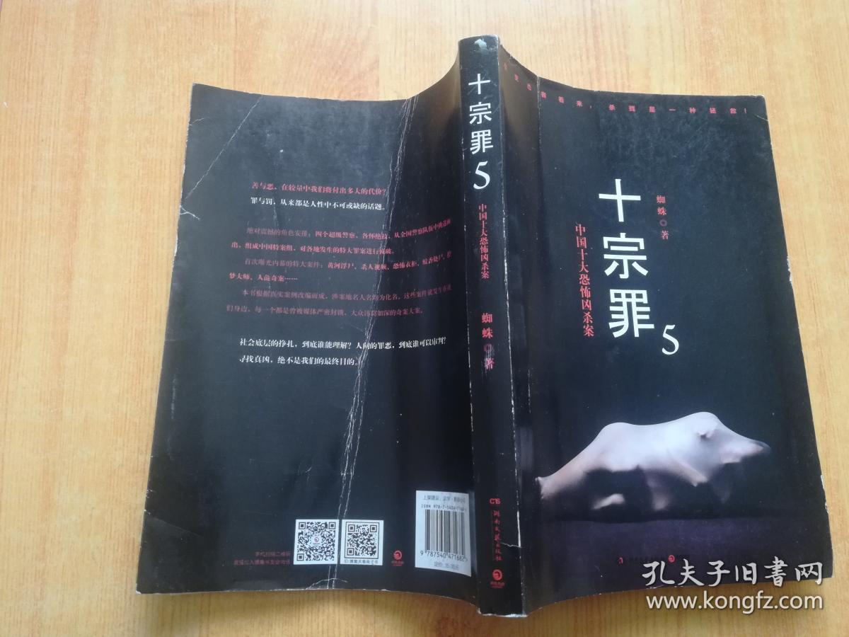 十宗罪5:中国十大凶杀案