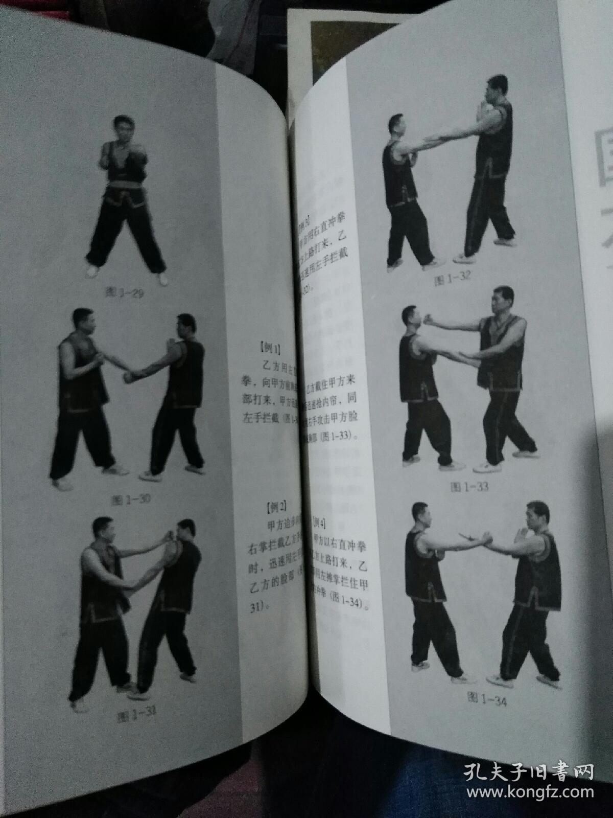 咏春拳小念头(无光盘)