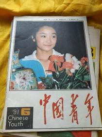中国青年1991年第6期