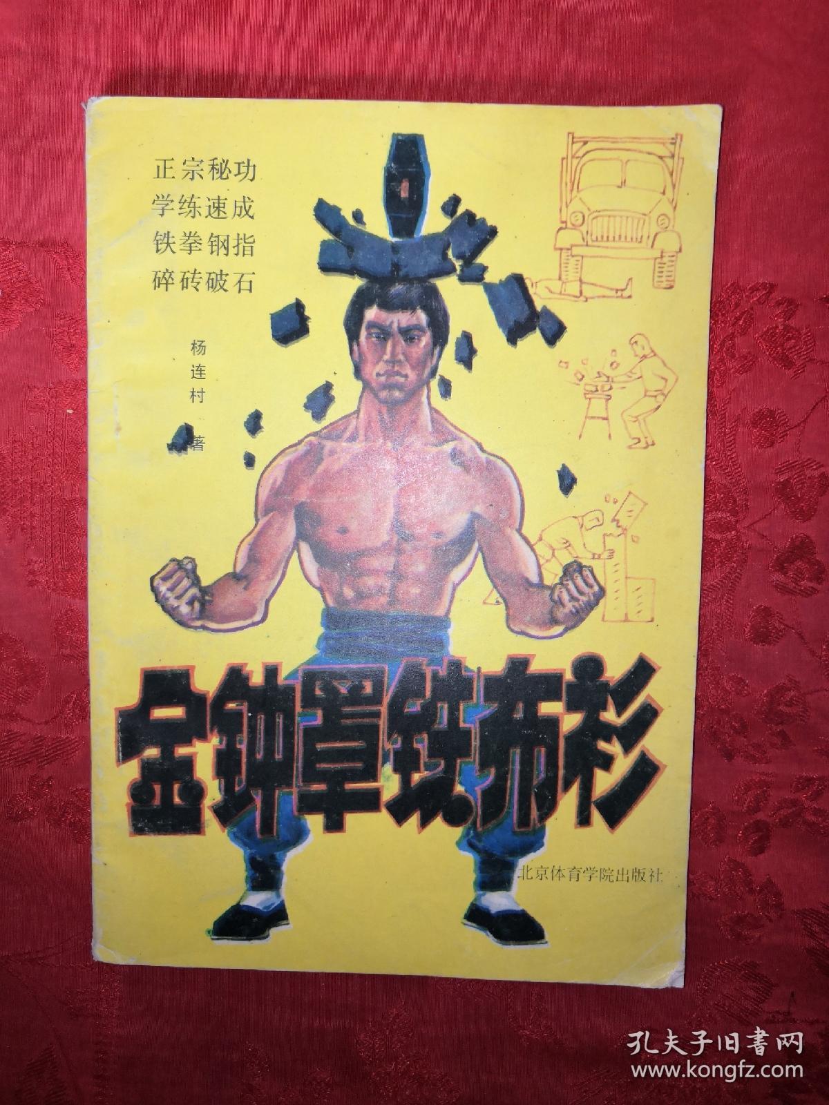 名家经典:金钟罩铁布衫(正宗秘功 学练速成 铁拳钢指 碎砖破石)