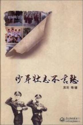 少年壮志不言简谱_少年壮志不言愁简谱(3)