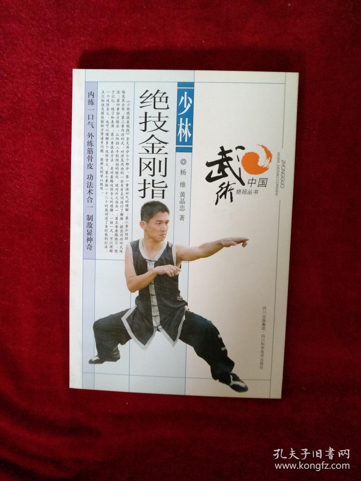 (1106 304) 中国武术绝招丛书: 少林绝技金刚指