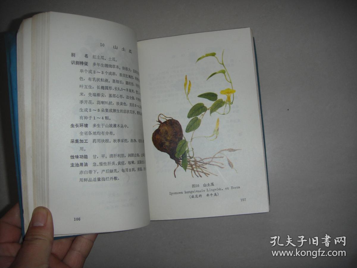 云南中草药选
