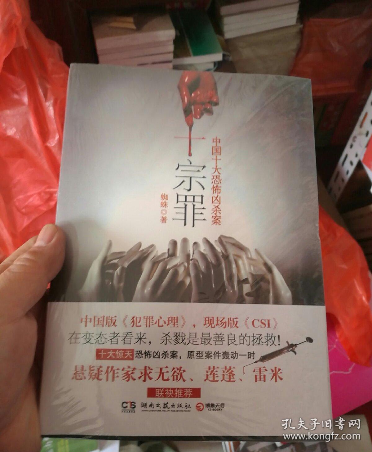 十宗罪——中国十大凶杀案