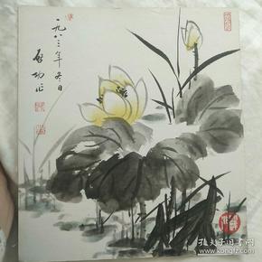 启功荷花卡纸.