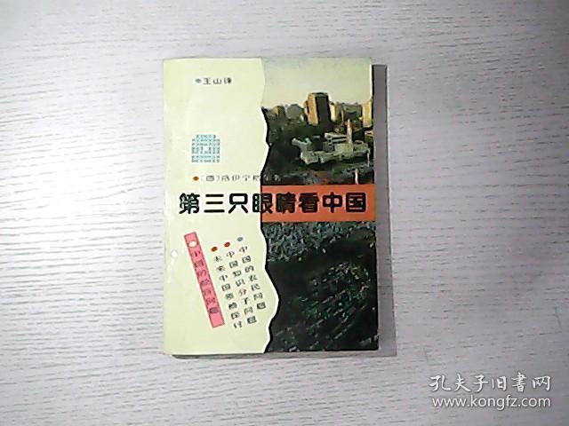第三只眼睛看中国