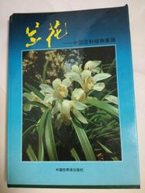 兰花—中国兰科植物集锦