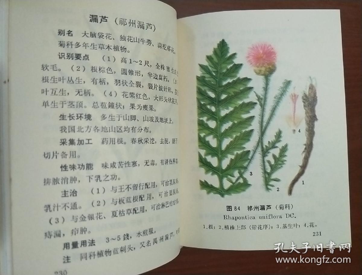 北方常用中草药手册