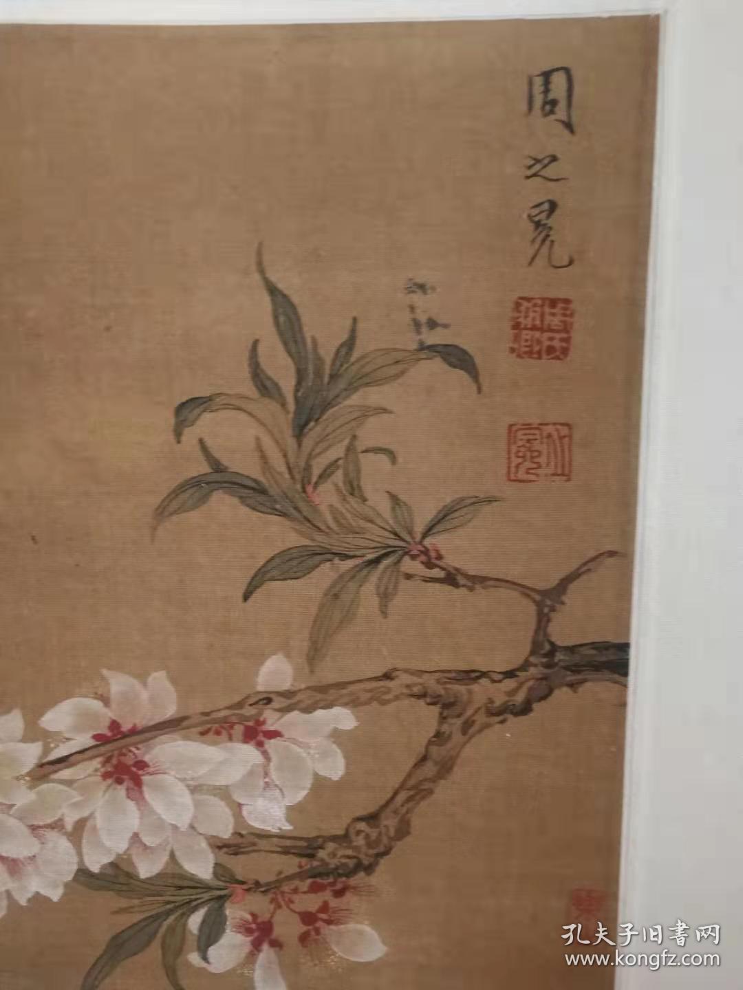明代周之冕小幅精品花卉