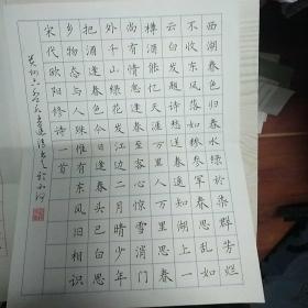 贵州省书法家协会会员王逢清硬笔书法2件23*18cm ,26*