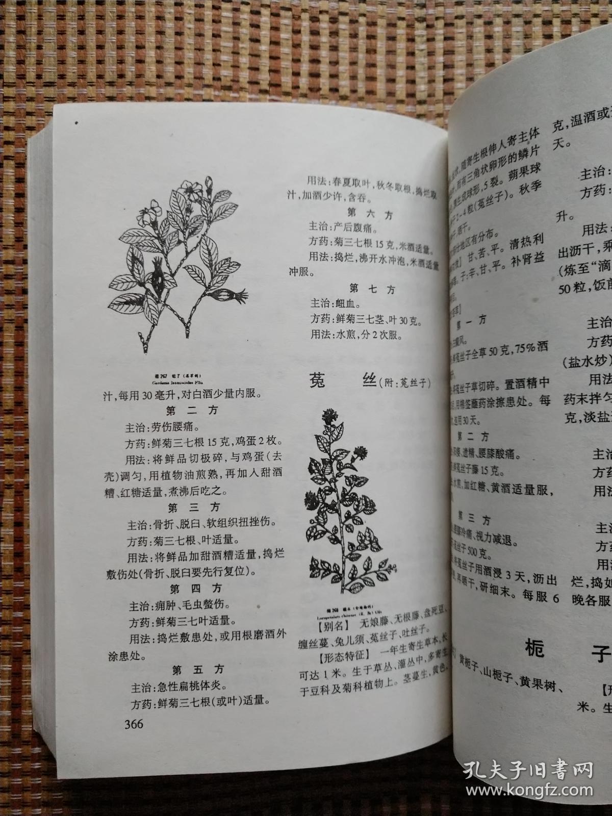 中国民间百草良方湖南科技2003年版量少重印14次常用药草352种验方