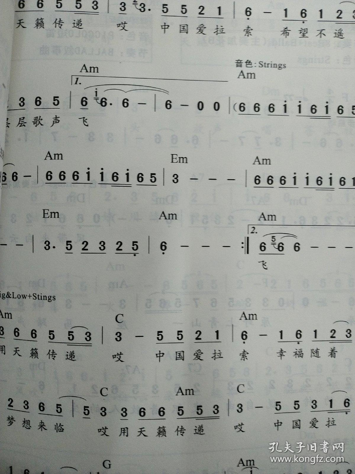 最易演奏·简谱电子琴:广场舞流行金曲荟萃