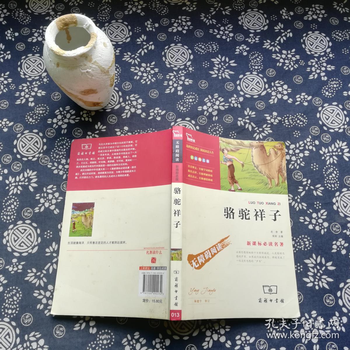 骆驼祥子(彩插励志版/新课标必读名著·无障碍阅读