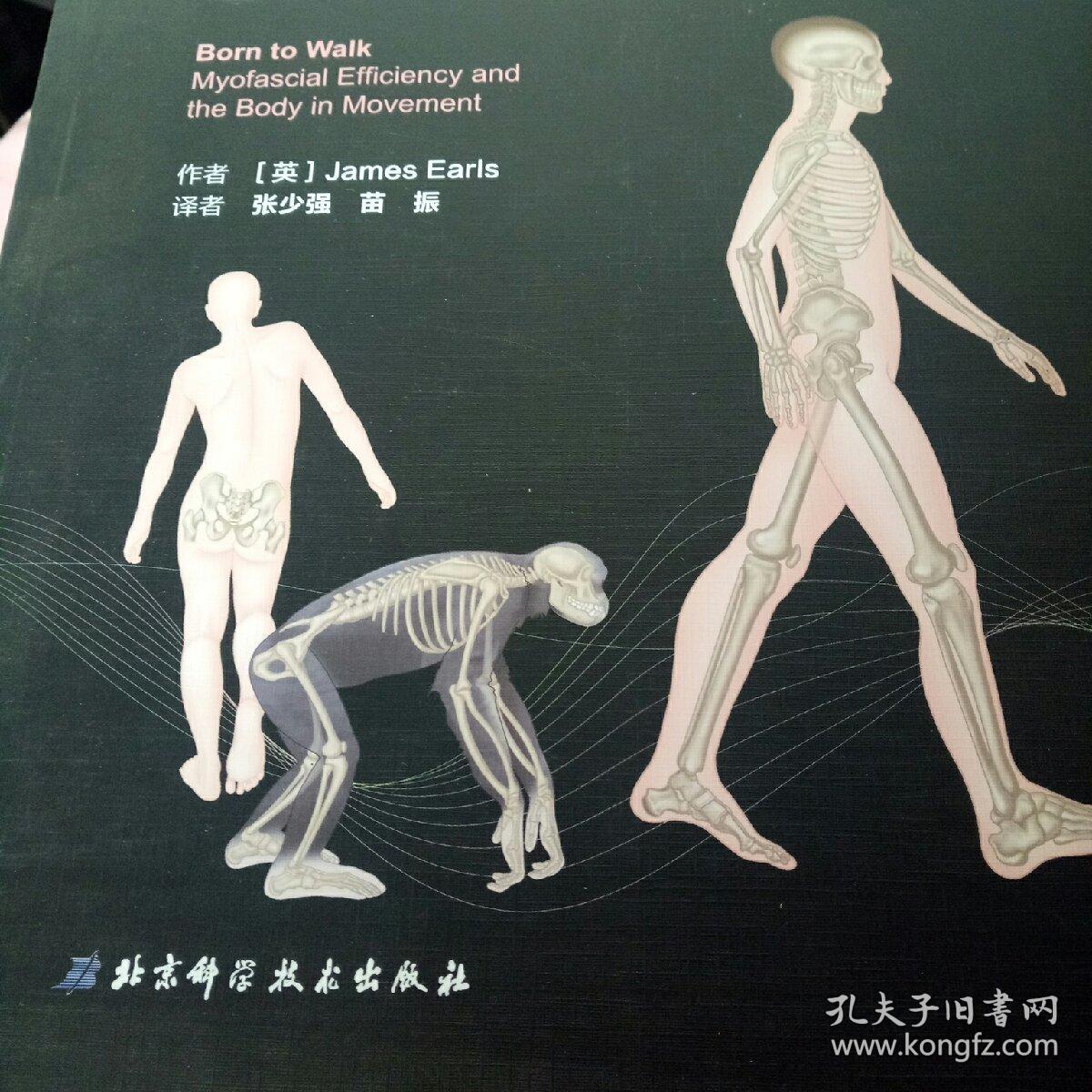 二章力学传导链  第三章前表线与后表线  第四章体侧线  第五章螺旋线