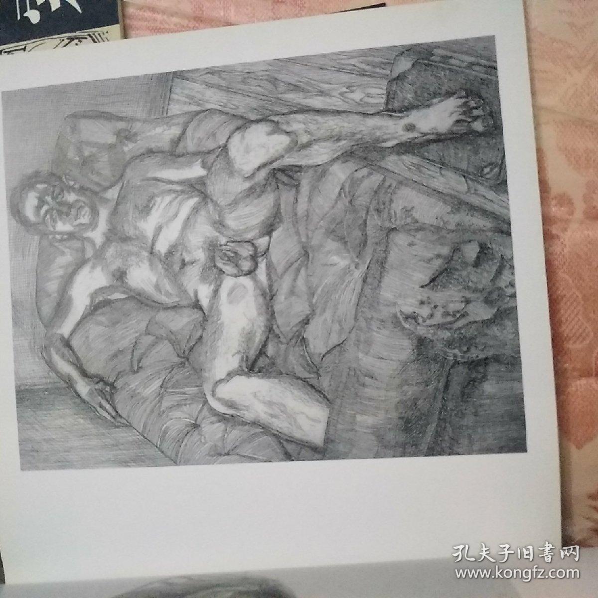 大师经典素描 弗洛伊德